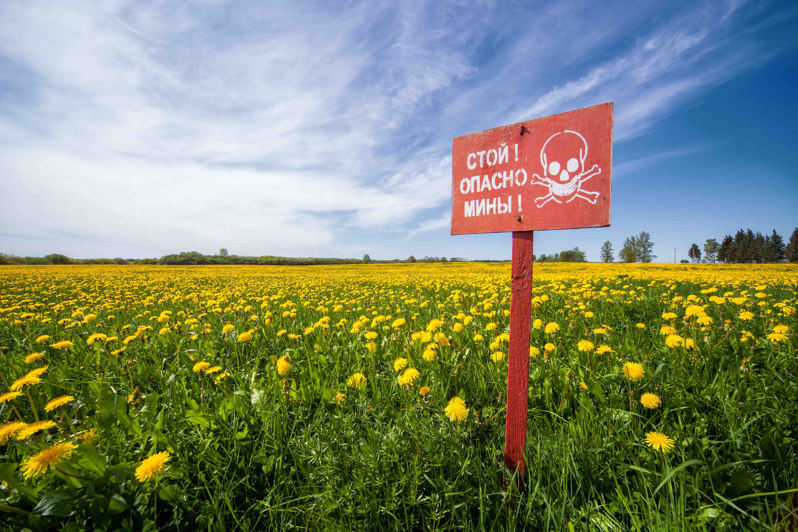 Panneau de signalisation des mines dans un champ de fleurs