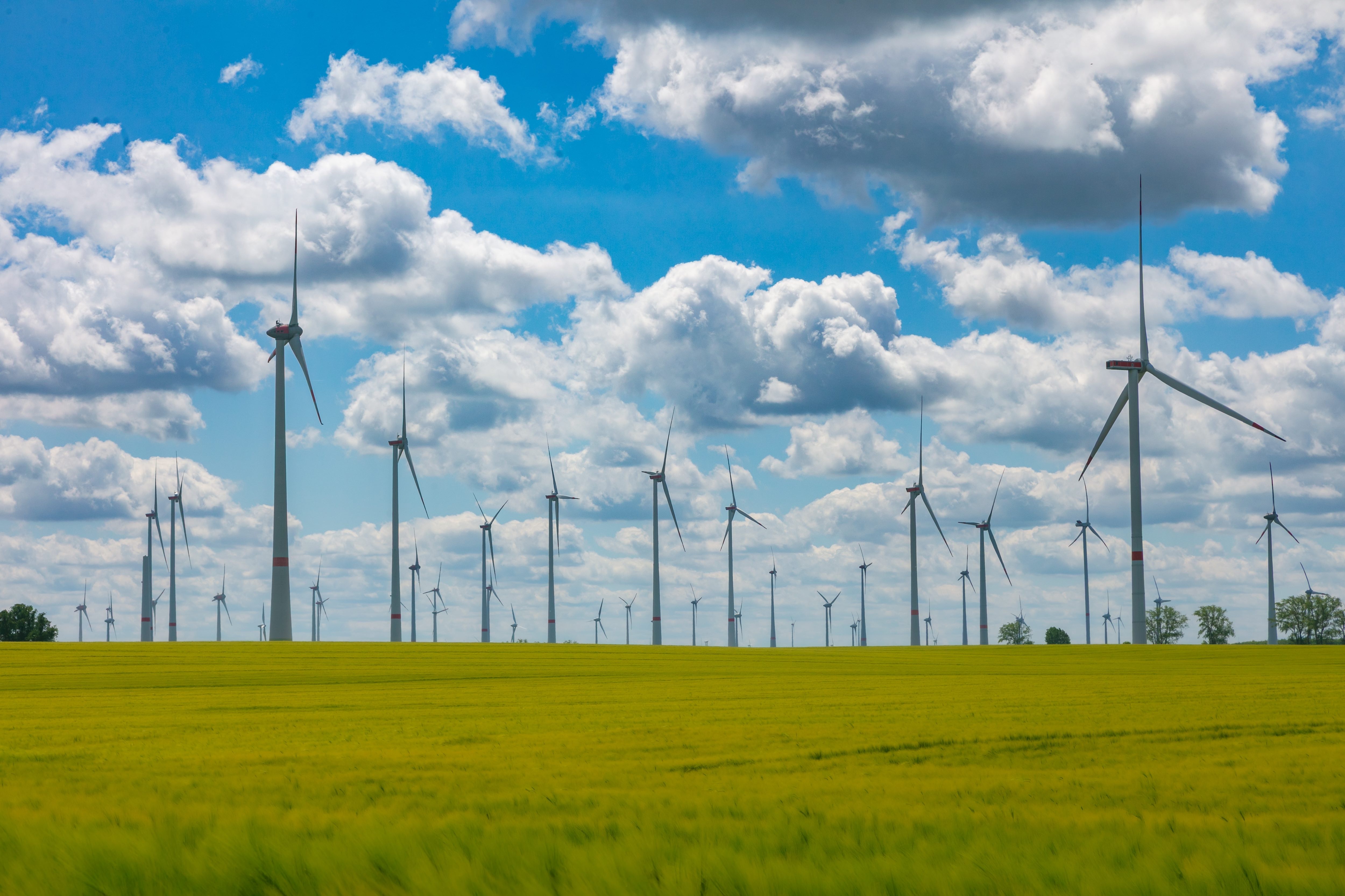 Quel avenir pour la transition énergétique en Allemagne ?