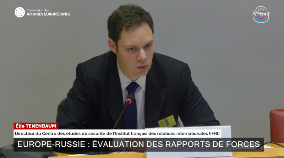 Elie Tenenbaum Sénat