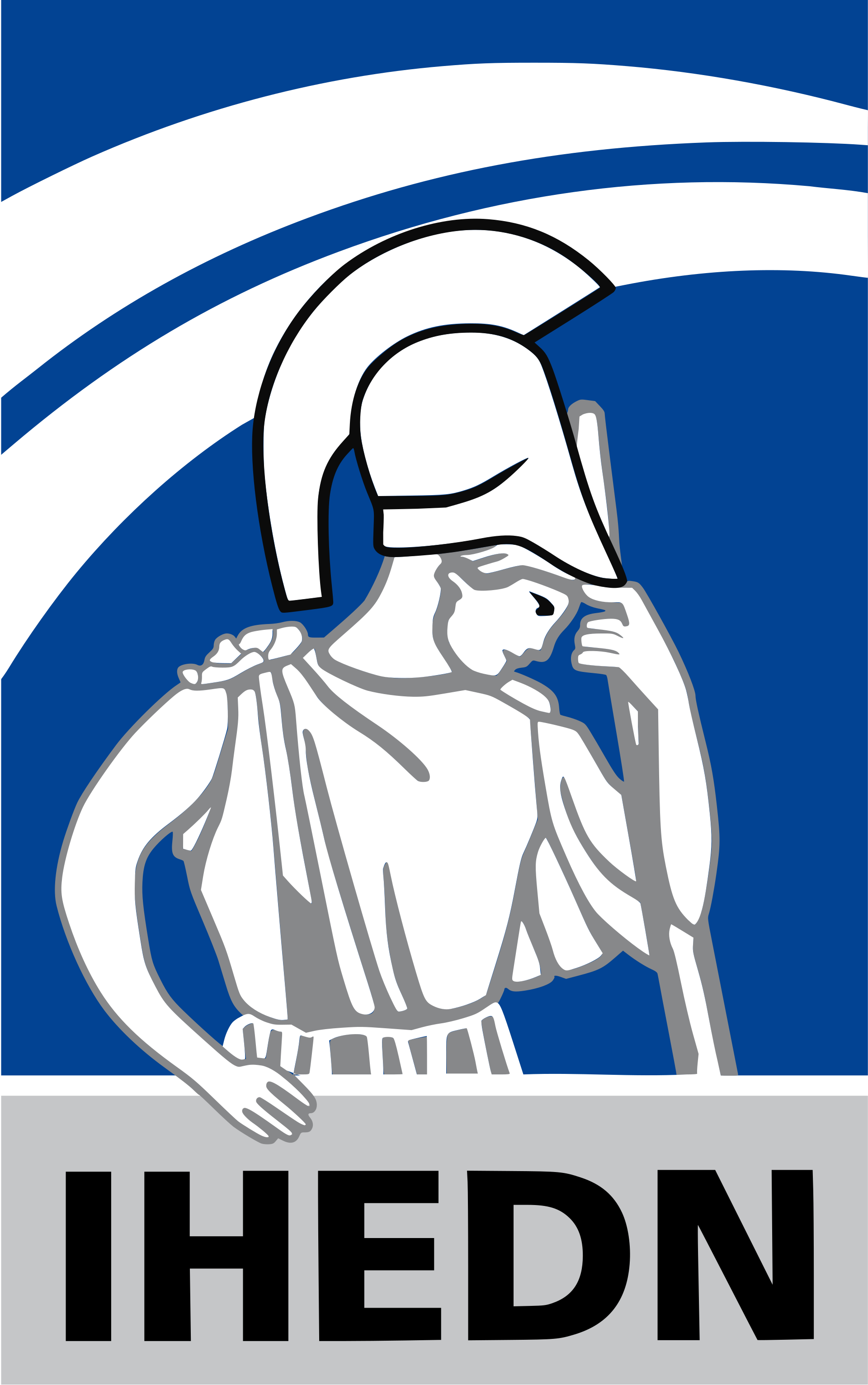 IHEDN_Logo