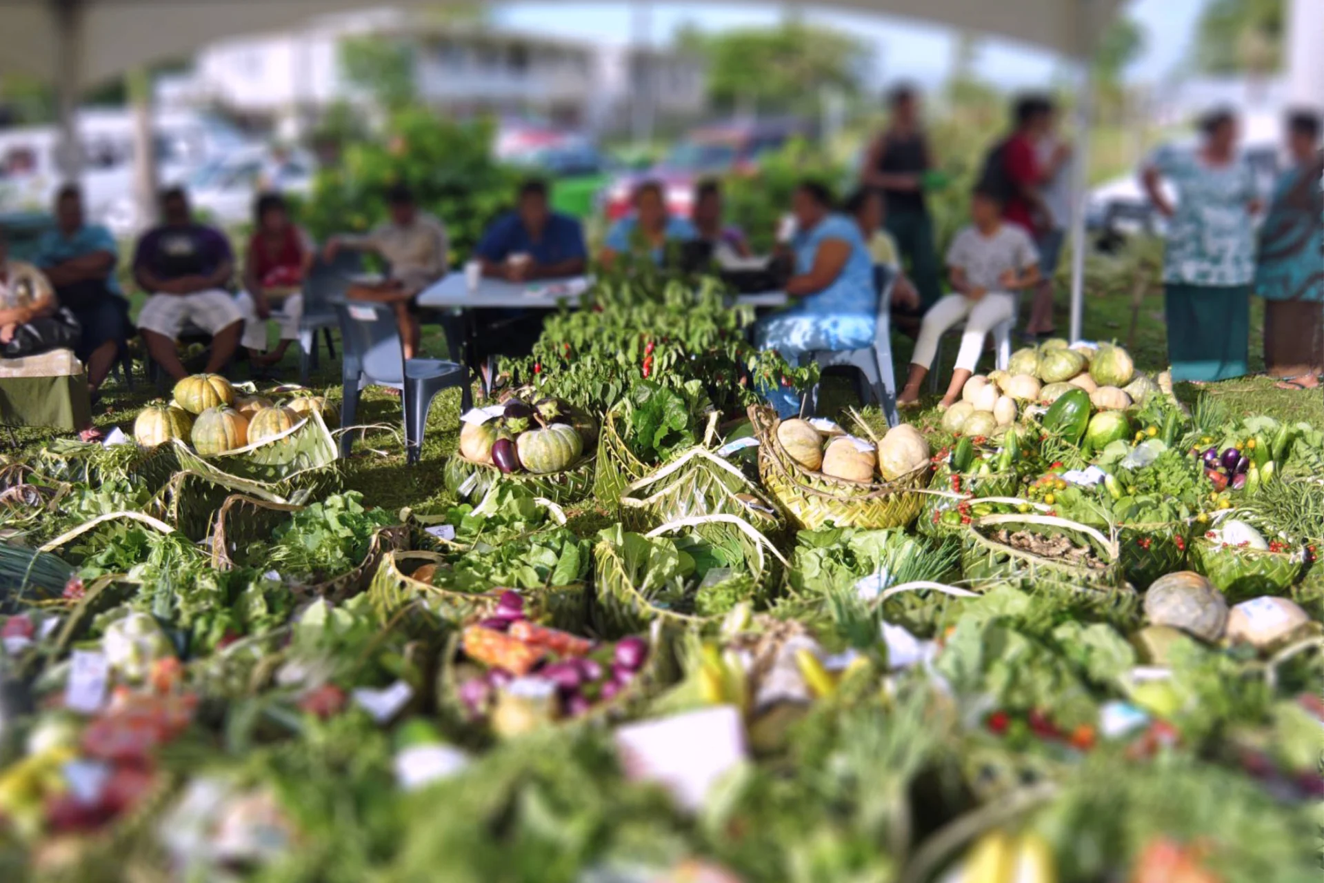 Food Systems in the Pacific Addressing Challenges in Cooperation with