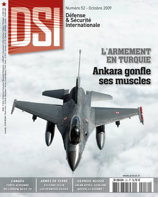 Forces terrestres en stabilisation, implications capacitaires