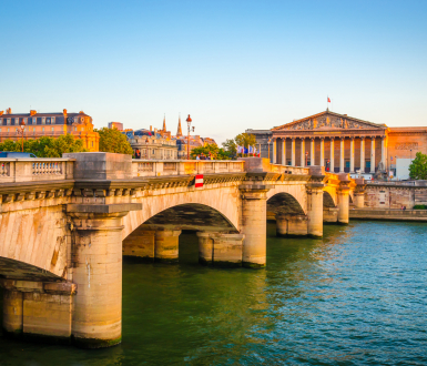 Pont de la Concorde et Assemblée nationale © Olena Znak / Shutterstock