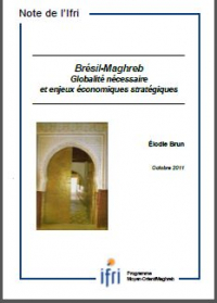 Brésil - Maghreb : Globalité nécessaire et enjeux économiques stratégiques