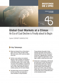 couv_cornot-gandolphe_coal_markets