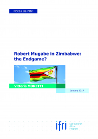 couv_zimbabwe_en.jpg