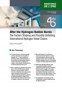 philibert_hydrogen_bubble_couv.png