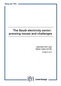 saudi_electricity.jpg