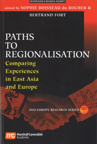 ie_2005_paths_to_regionalisation.jpg
