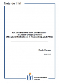 A class defined "by consumption":  The grocery-shopping practices of the Lower-Middle Classes in Johannesburg, South Africa