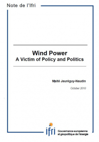 Wind  Power: a Victim of Policy and Politics?