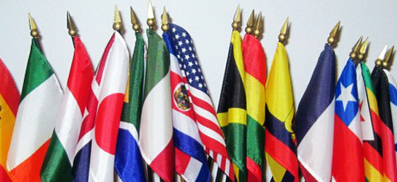 international_flags_2010_cr.jpg
