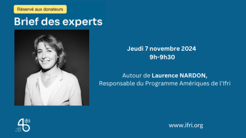 Cover - Brief des experts - Laurence Nardon - 7 novembre 2024