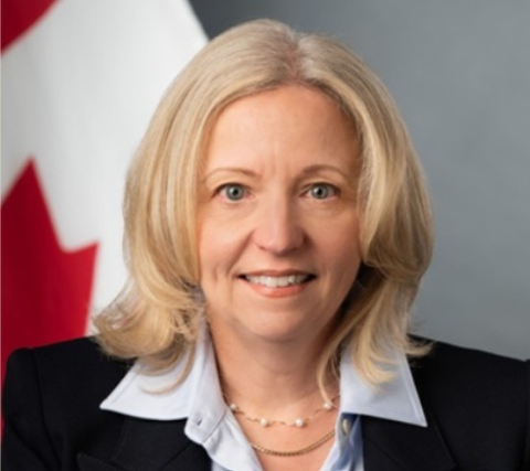 Nathalie Drouin, Ambassadrice du Canada en France 