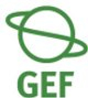 The Global Environment Facility - Addressing Global Issues: the use of trust funds.