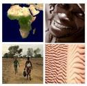 ifri_thd_afrique1.jpg