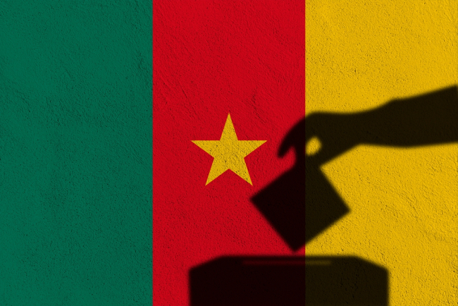 Elections au Cameroun