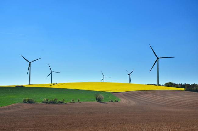 Developpement durable et transition ecologique