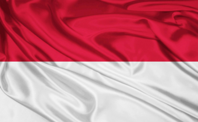 drapeau_indonesie.jpg