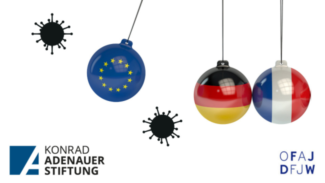 hans_webinaire_deutsch-franzosische_zukunftswerkstatt_17.06.2020.jpg