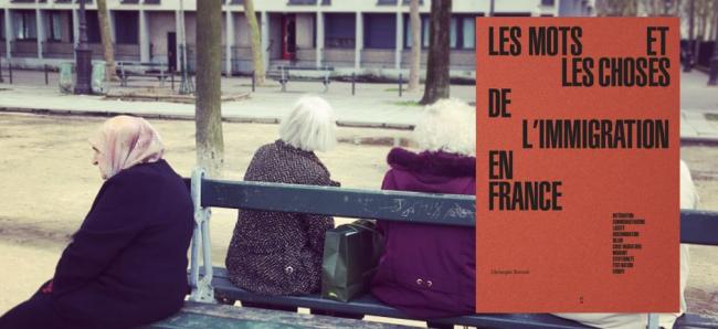 ifri_les_mots_et_les_choses_de_limmigration.jpg