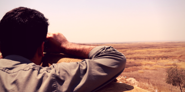 image_site_-_france_culture_-_elie_tenenbaum_-_daech_mossoul.png