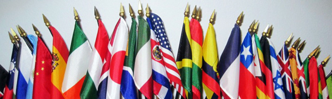 international_flags_2010_cr.jpg