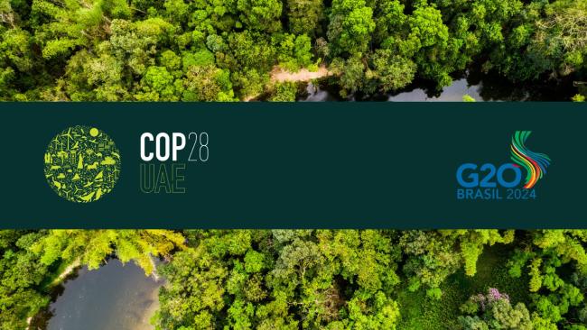 Forêt amazonienne vue du ciel