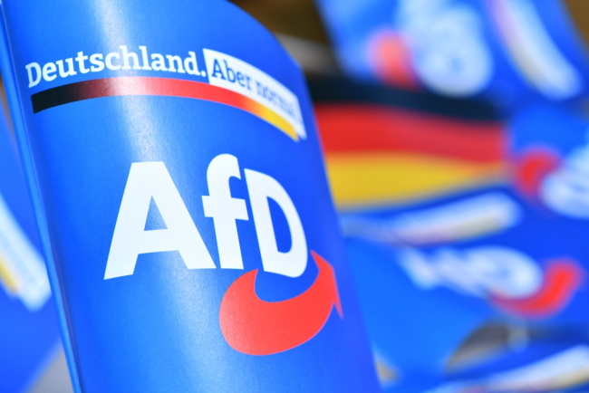 AFD-Flaggen, Burgdorf, Deutschland - 30. Juni 2023