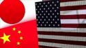 thd_chinejaponus.jpeg