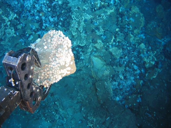 Underwater sampling