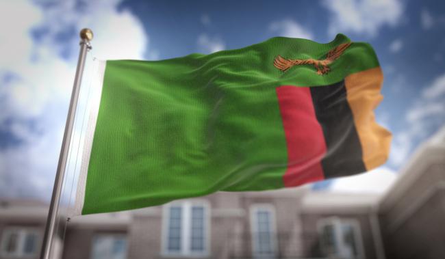 Flag of Zambia 