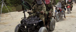 Boko Haram Militants (2015)