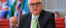German Foreign Minister Frank-Walter Steinmeier at the OSCE Permanent Council in Vienna, 2 July 2015. 