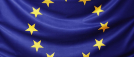 european-union-flag.jpg