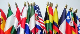 international_flags_2010_cr.jpg
