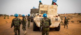 Operation Frelana, Mission de l’ONU au Mali