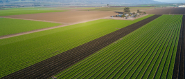 Vue aérienne des champs agricoles en Californie, vallée des Salinas