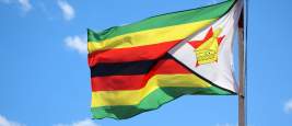 Photograph of the flag of Zimbabwe