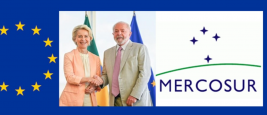Ursula von der Leyen présidente de la Commission européenne et Luiz Inácio Lula da Silva, président du Brésil - (Drapeau de l’Union européenne ; drapeau du Marché commun du sud ; drapeau de Mercosur) 