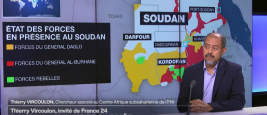 Thierry Vircoulon - Soudan : la guerre oubliée - France 24
