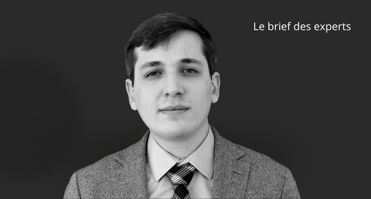 briefs_des_experts_dimitri.png