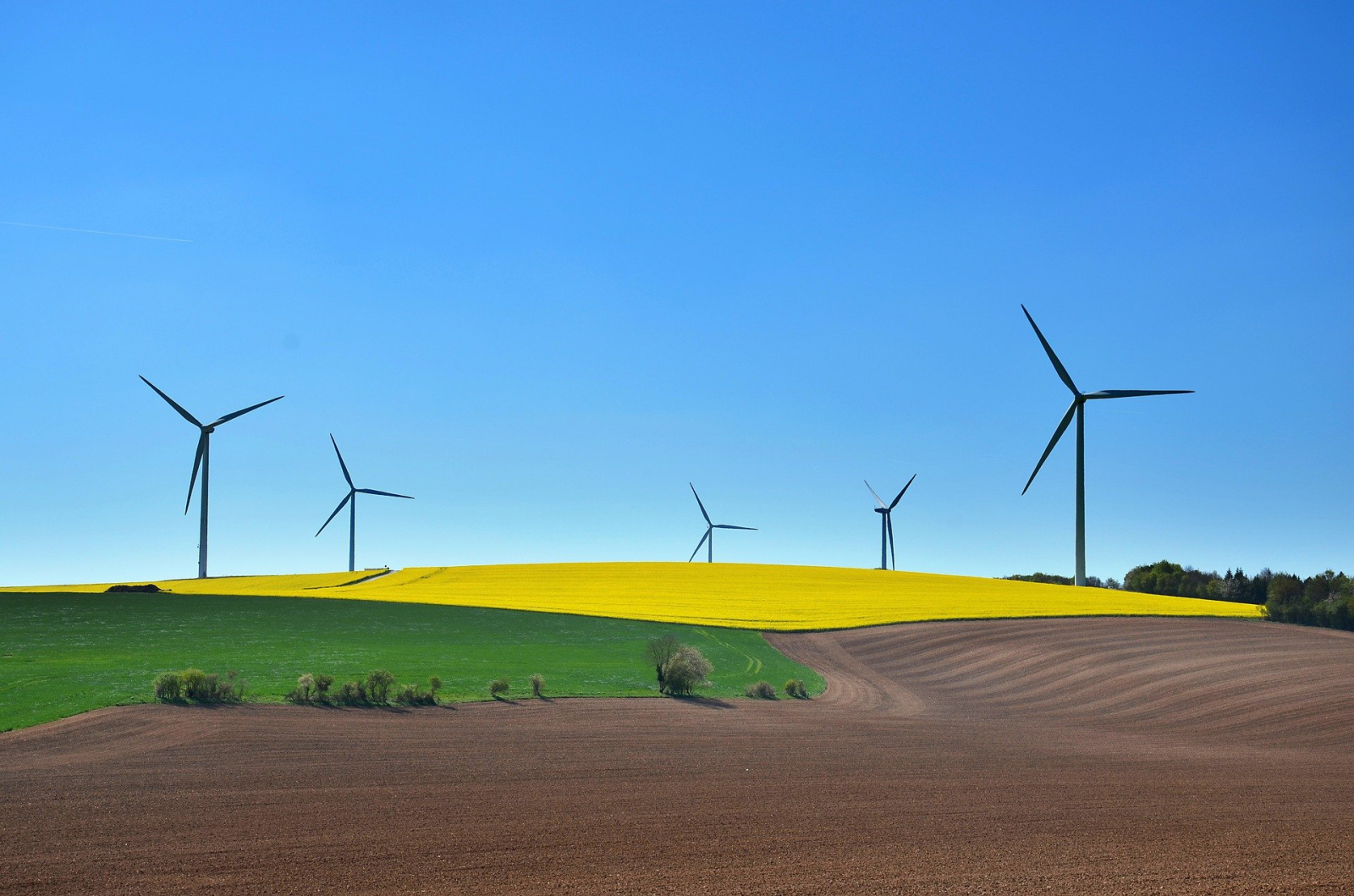 Developpement durable et transition ecologique