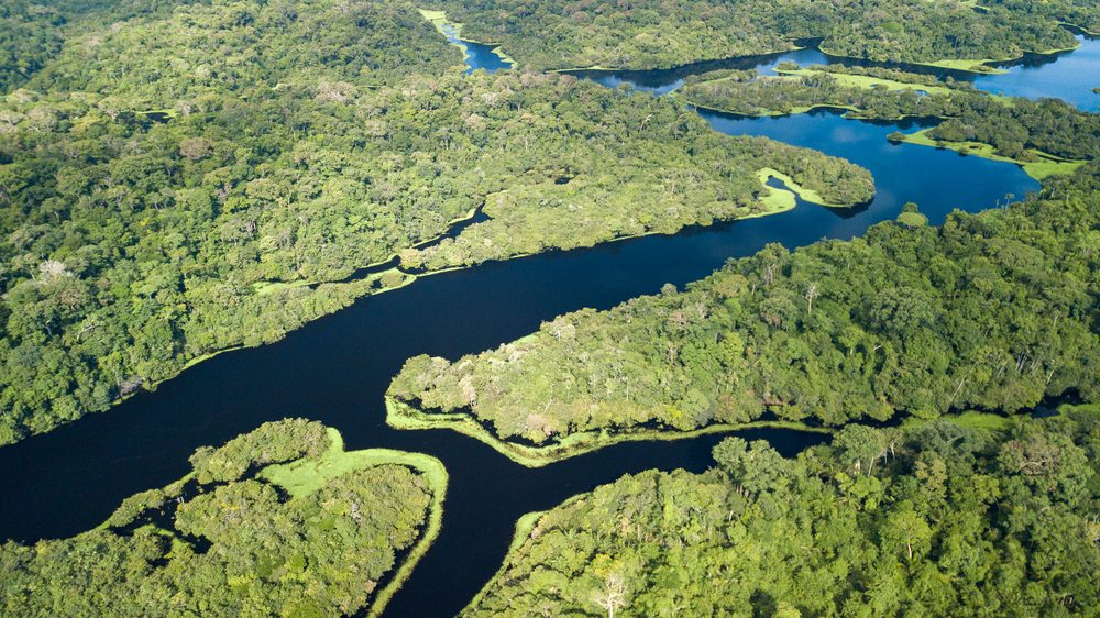 Rivière Trombeta - Amazonie, Brésil