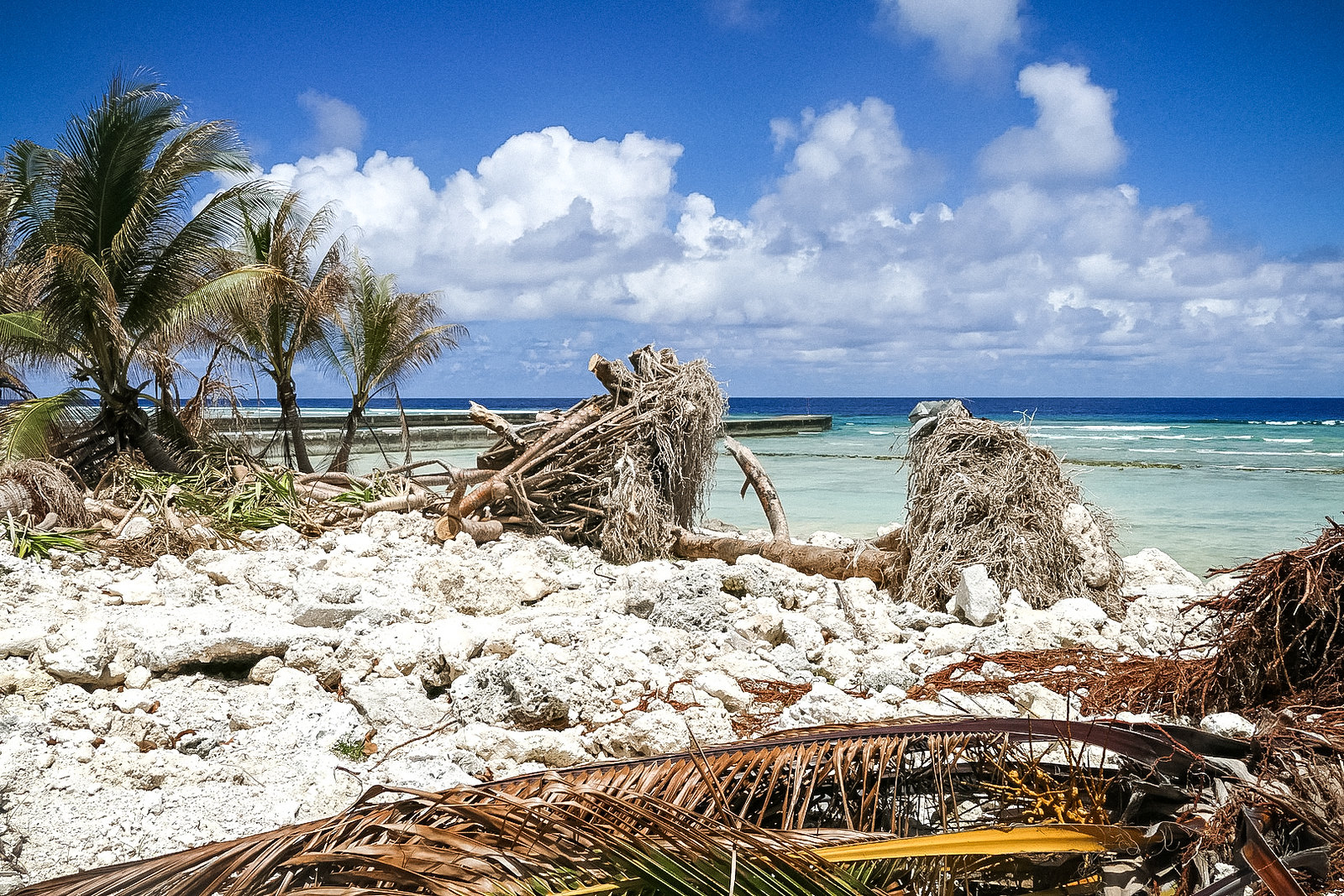 Vanuatu coastline after cyclone Pam (2015). Credits: Silke von Brockhausenundp